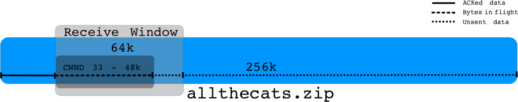 CWND-image-2